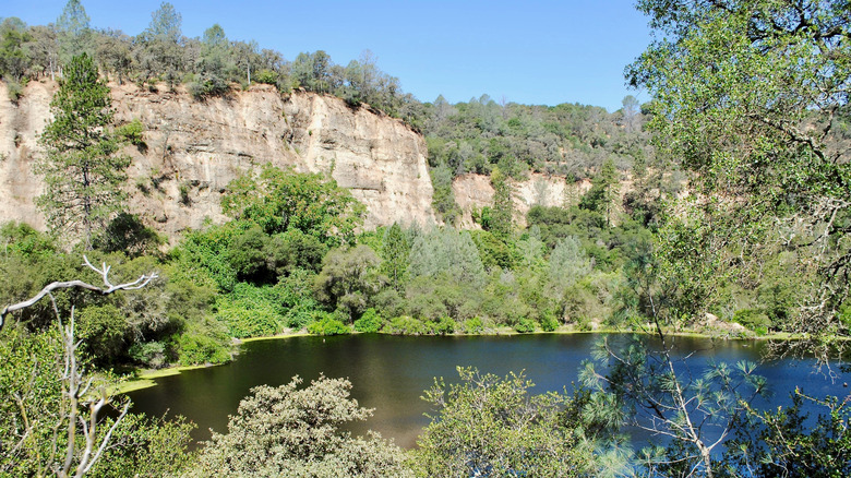 Overlooking the water on the Black Swan Trail near Smartsville
