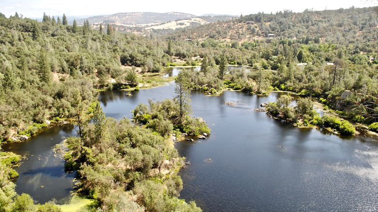 An aerial view of the water at Black Swan Preserve