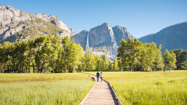 Views of Yosemite Falls from among the meadows of Yosemite National Park in California.