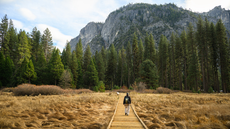 A person walking on the Cook's Meadow boardwalk in California's Yosemite National Park