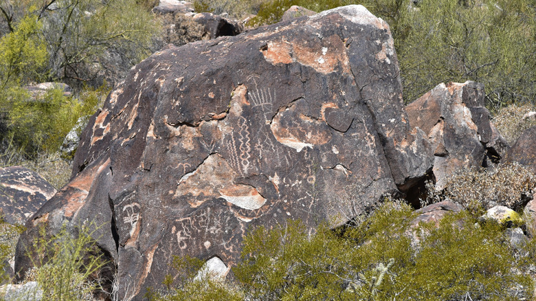 petroglyphs on a rock at White Tanks Regional Park