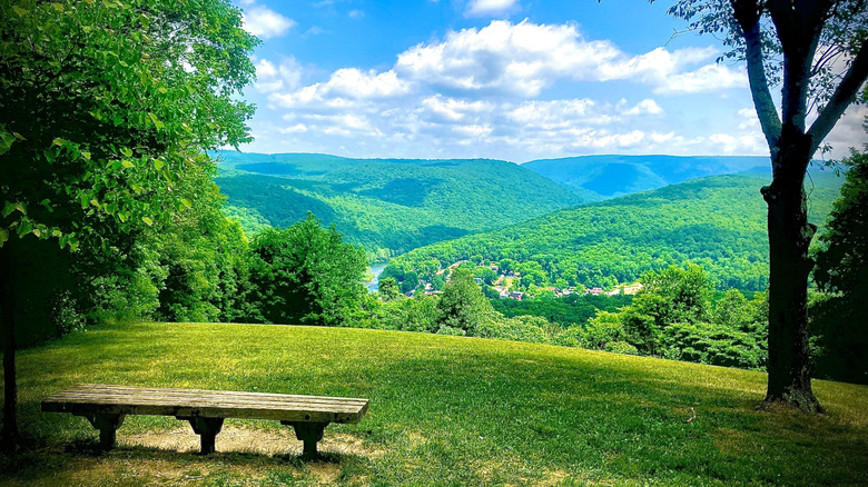 View from the Great Allegheny Passage