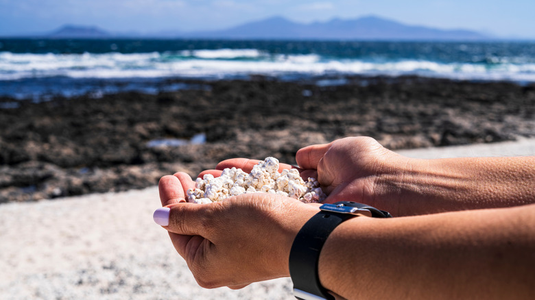 A visitor to Popcorn Beach holds sand made out of coral that looks like popcorn kernels in her hands