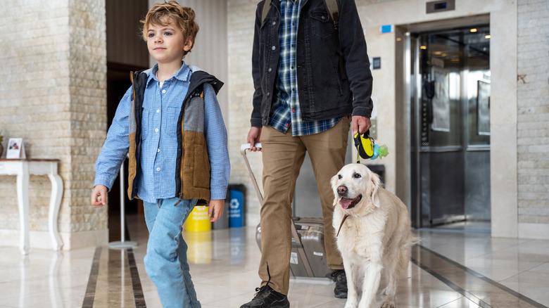 a family travelling with a golden retriever