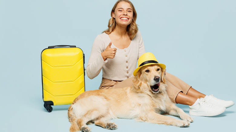 a large dog wearing a hat, with a woman and a suitcase
