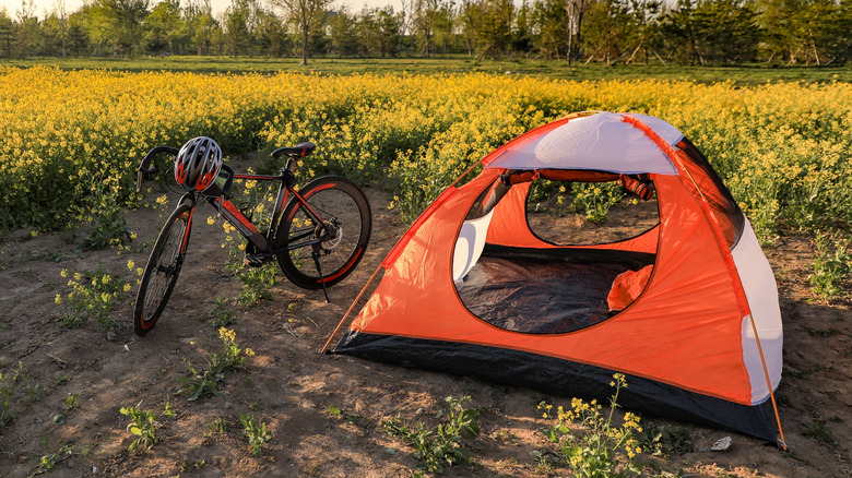 A bicycle next to a tent in a grassy field