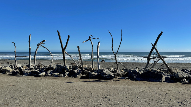 Driftwood sculpture in the form of "Hokitika" at beach