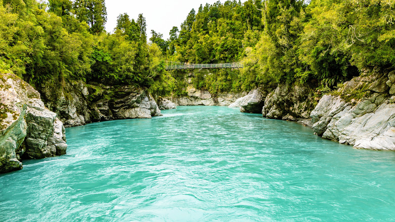Turquoise water in a gorge surrounded by trees