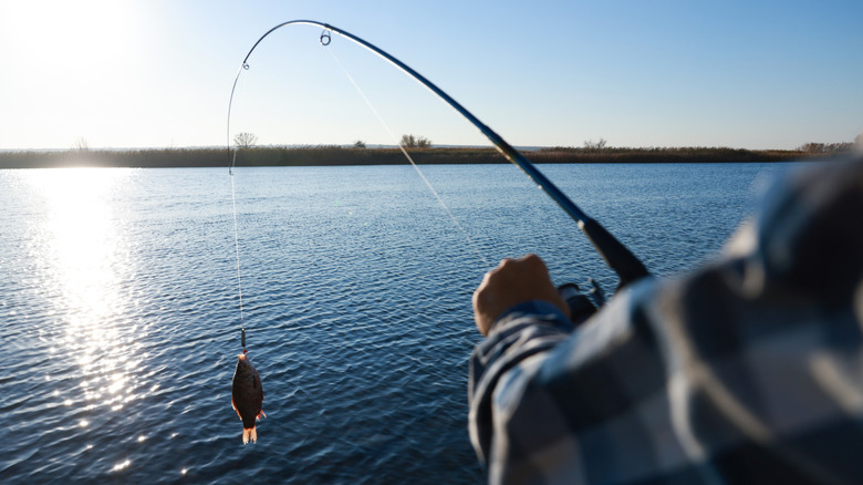 Person reeling in a small fish over a lake.