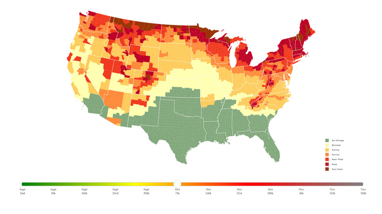 Screenshot of the Smoky Mountains Fall Foliage Prediction Map