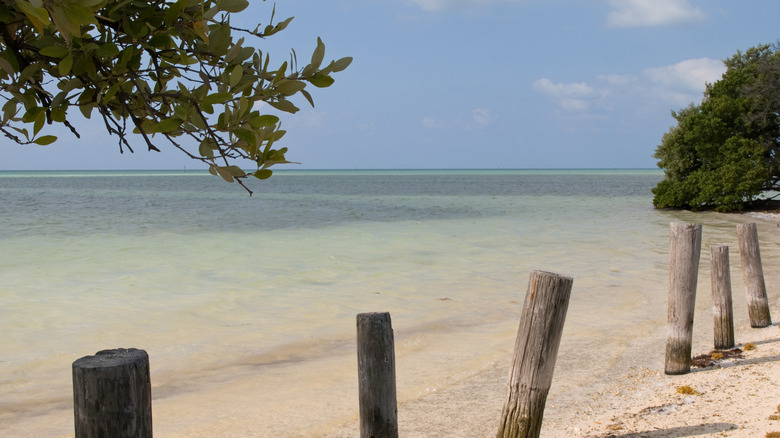 A view of quiet Anne's Beach in the Florida Keys