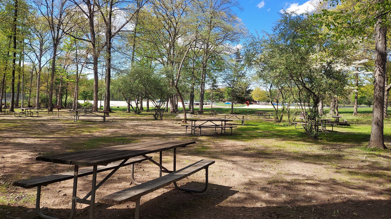 Picnic tables and trees at Darlington County Park, New Jersey