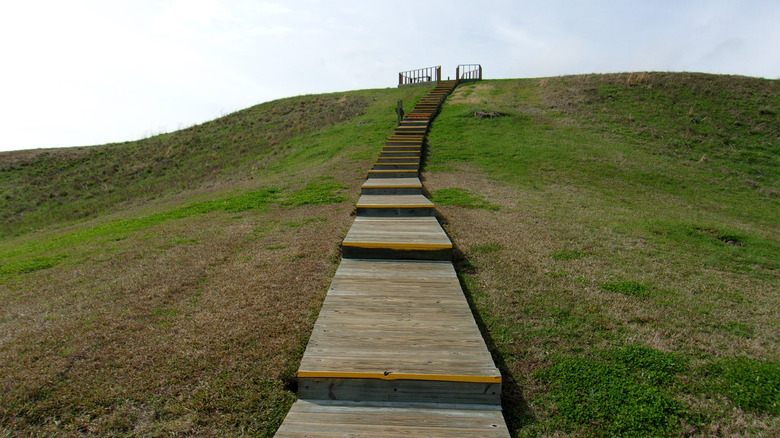 Poverty Point is a UNESCO World Heritage site