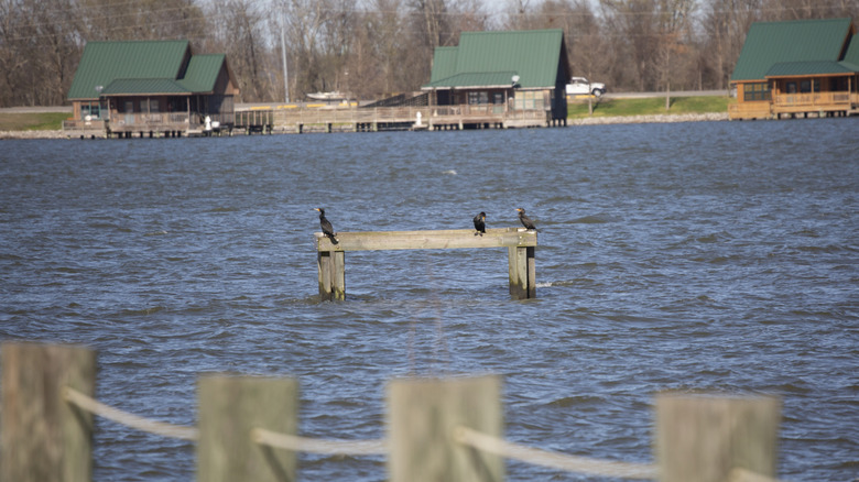 Poverty Point Reservoir State Park is one of several nearby recreation areas