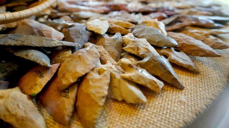 Millions of artifacts have been discovered at Poverty Point like these arrowheads