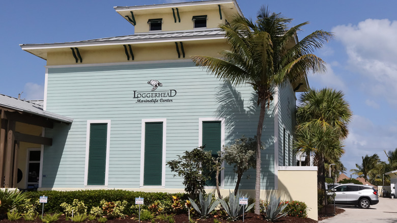 blue Loggerhead Marinelife Center building with palm trees and blue sky