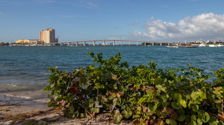 View of Blue Heron Bridge and Phil Foster Park