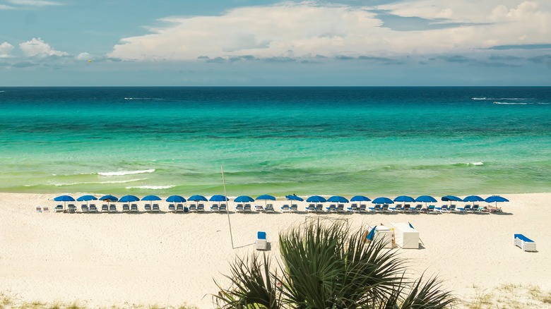 Beach chairs in Panama City Beach, Florida