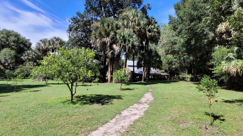 The historic homestead with old-growth trees at Marjorie Kinnan Rawlings Historic State Park