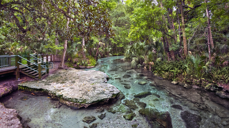 Rock Springs Run at Kelly Park