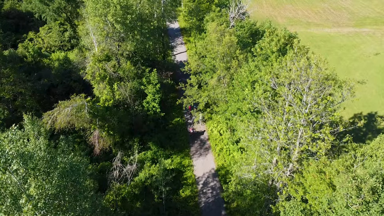 aerial view of people biking on the Delaware and Hudson rail trail in Castleton, Vermont