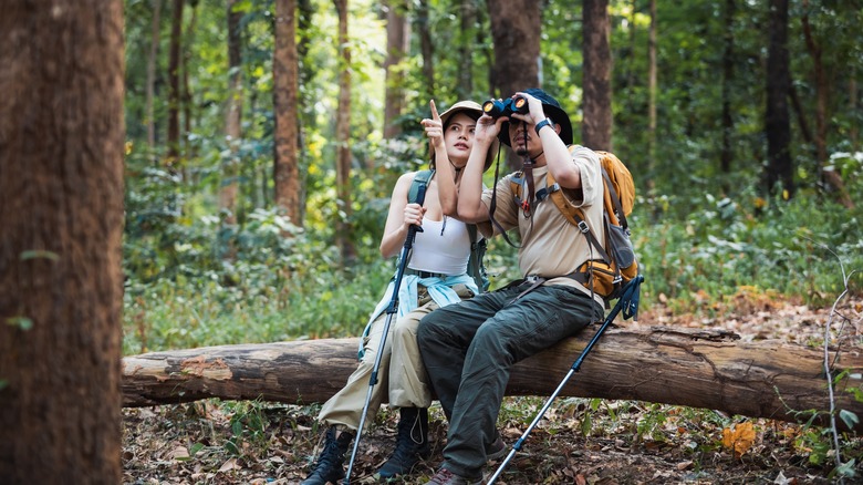 A couple birdwatching in a forest