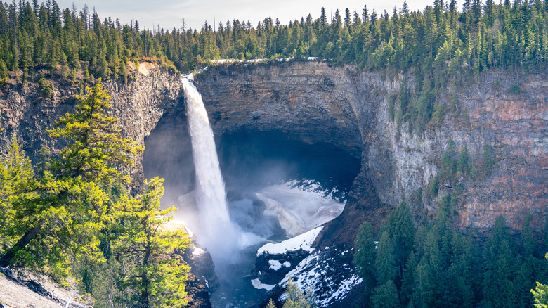 Pine trees hem in Helmcken Falls at Wells Gray Provincial Park as ice covers plunge basin