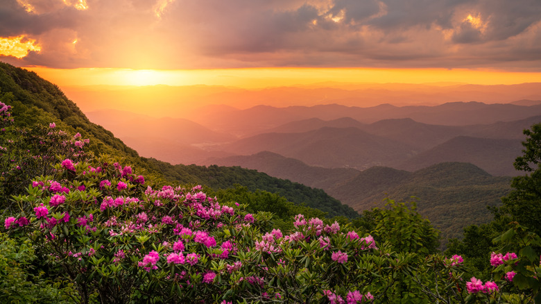 Blue Ridge Mountains at sunset