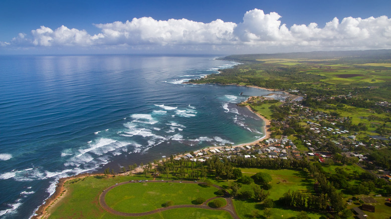 Aerial view of Haleiwa and Kaiaka Bay Park in daylight