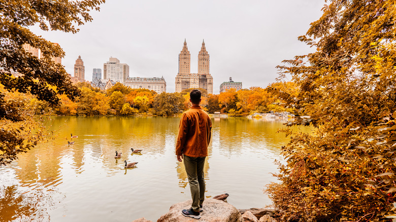 Traveler looking at El Dorado from Central Park