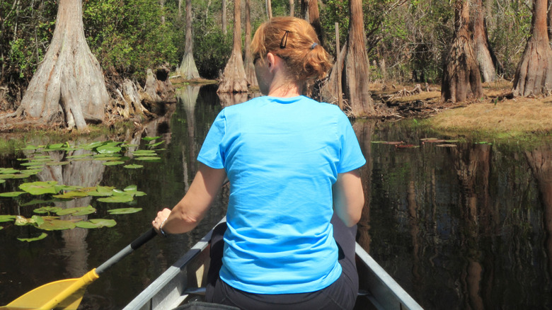 Woman paddling in a canoe along the water and among trees in Okefenokee State Park, Georgia