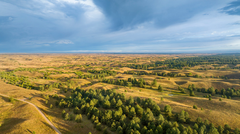 A late summer aerial view of the landscape of Nebraska Sandhills at Nebraska National Forest