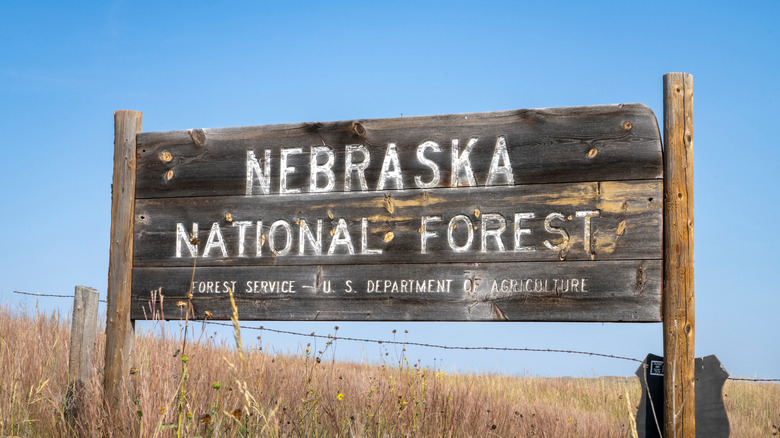 A weathered sign for Nebraska National Forest