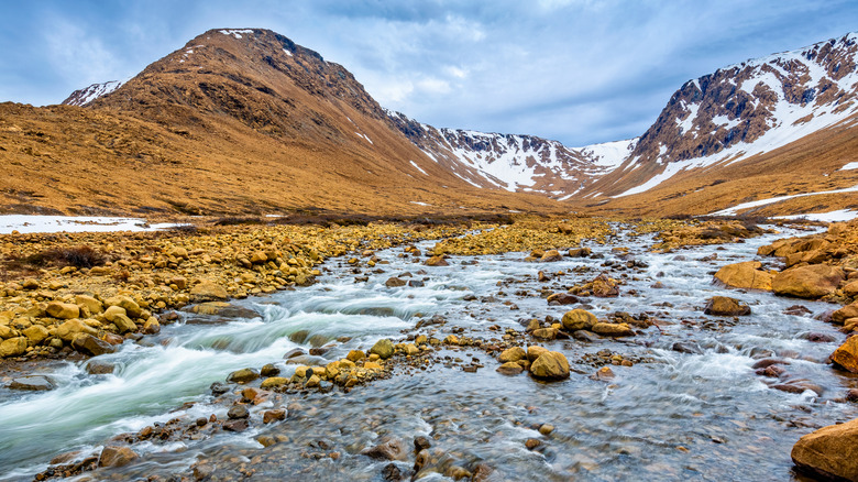 Melted snow flowing from the Tablelands in Gros Morne National Park, Canada