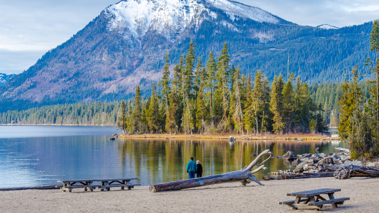 A snowy mountain above the forested shores of Lake Wenatchee