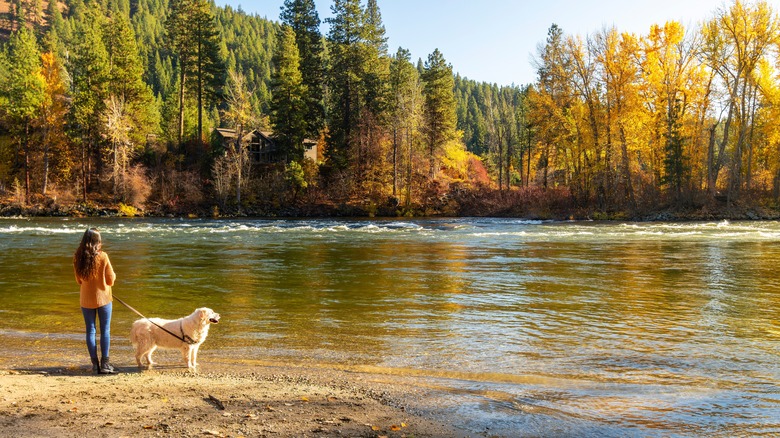 A woman and her dog stand along the banks of the Wenatchee River in the fall