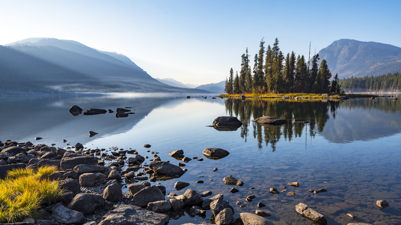 Trees on an island in the middle of Lake Wenatchee