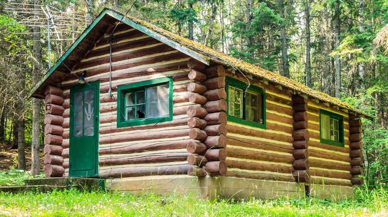 A log cabin in the middle of the woods with green trip and door
