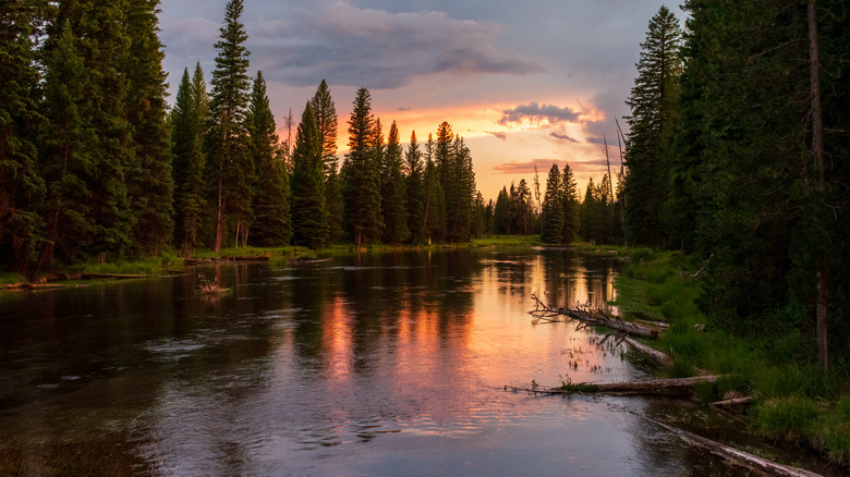 A sunset over a large body of water with trees and clouda