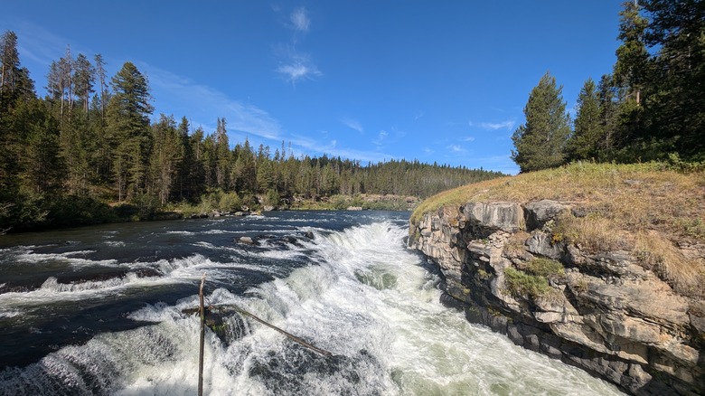 Rapids in a wide river with a rocky overhang and trees on either side