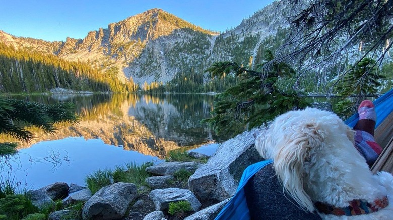 Camping with a companion down at the water's edge on the Elkhorn Crest Trail