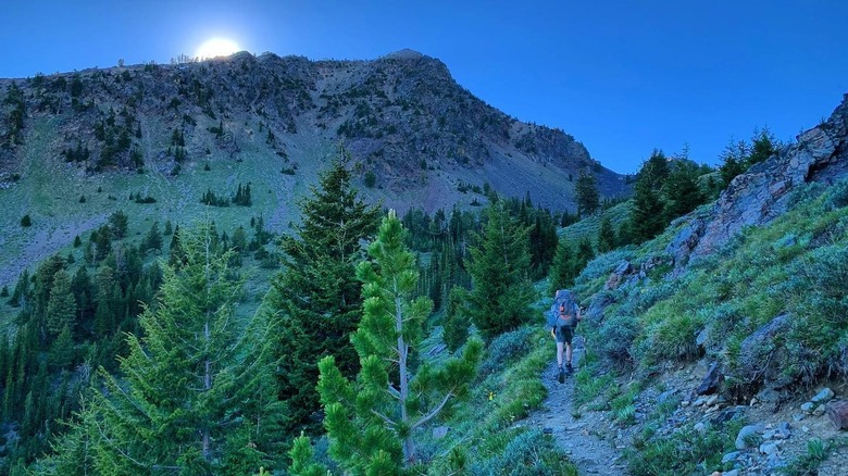 A hiker wanders along the Elkhorn Crest Trail at sunset, searching for somewhere to camp