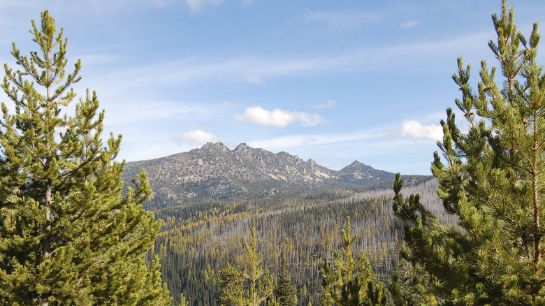 The Elkhorn Mountains near Baker City, Oregon