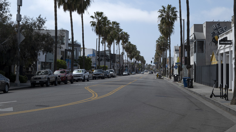 Abbot Kinney Boulevard, Venice 