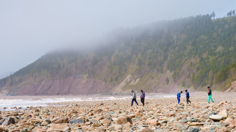 Visitors walk amidst the stones at Long Beach in Fundy Trail Provincial Park, New Brunswick