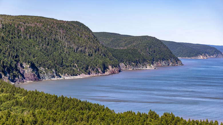 The view from Martin Head Lookout on the Fundy Trail Parkway
