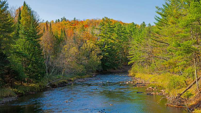 Fall colors erupting over the Bad River in Copper Falls State Park, Wisconsin