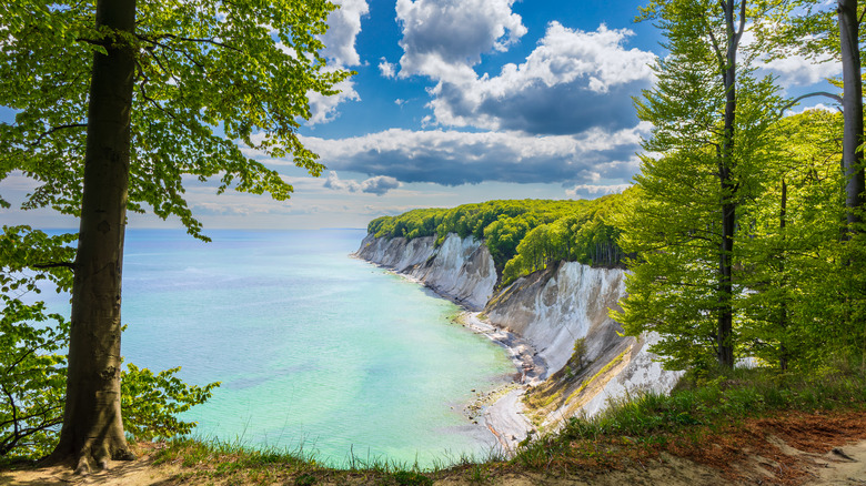 The narrow, pebbled beaches and white chalk cliffs of Jasmund National Park as seen from a trail