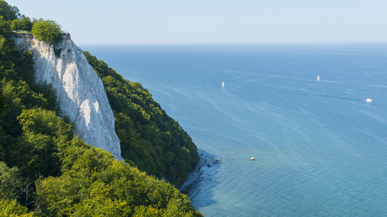 The Königsstuhl, the tallest of Jasmund National Park's chalk cliffs, pictured against the forest and sea