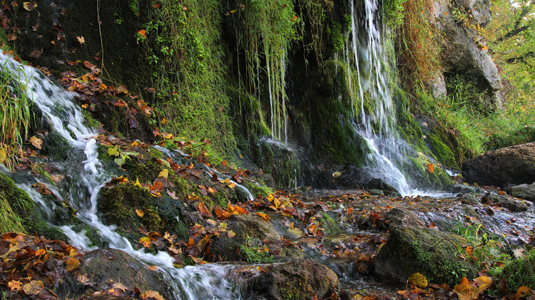 Waterfalls at Malanaphy Springs State Preserve